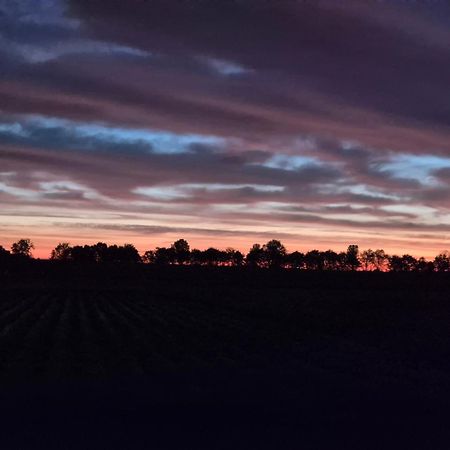 Villa Vrijstaande Ruime Familiewoning Landelijk Gelegen Lewedorp Esterno foto