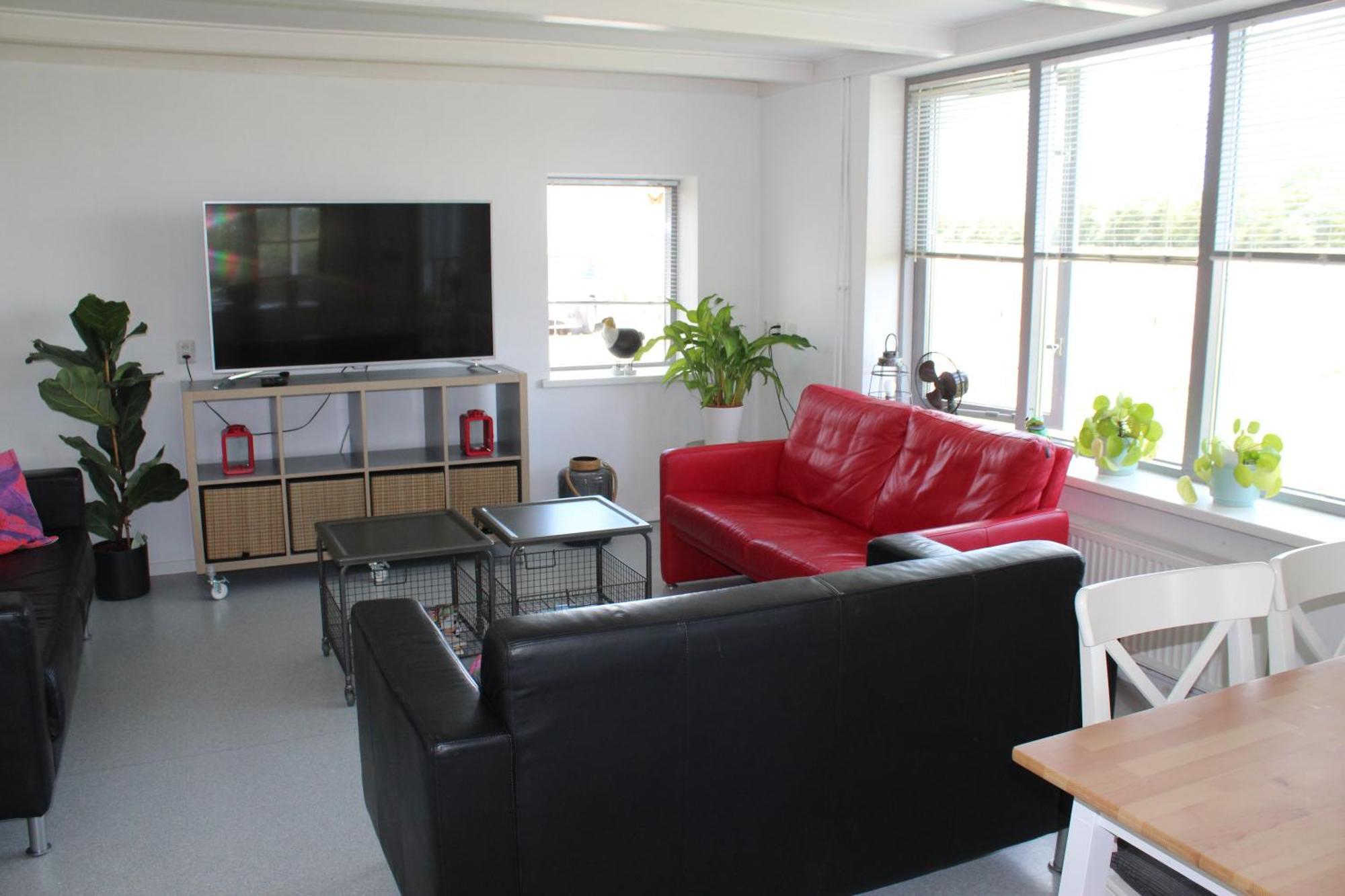 Villa Vrijstaande Ruime Familiewoning Landelijk Gelegen Lewedorp Esterno foto